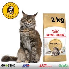 Kucing maine coon terlahir dengan enam jari kaki. Royal Canin Adult Maine Coon 2kg Kucing Dewasa Maine Coon Shopee Indonesia