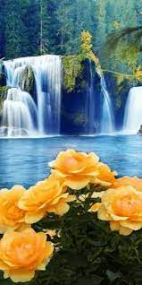 We've gathered more than 5 million images uploaded by our users and sorted them by the most popular ones. Gif Decouverte Par Iriska Decouvrez Et Enregistrez Vos Images Et Videos Sur We Heart In 2021 Beautiful Gif Beautiful Flowers Wallpapers Beautiful Nature Wallpaper