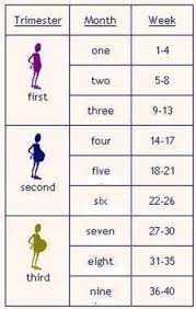 If you look at an average month as 4 weeks, then you can estimate the average monthly earnings from 17 of course, some months are longer than others, so this is just a rough average. 17 Weeks Is How Many Months Babycenter