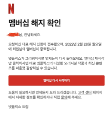 넷플릭스 해킹 경험기 : 클리앙