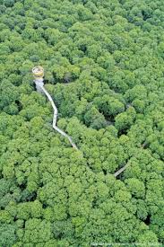 Inspiredby Pinterest Contest Culture Travel Germany Travel National Parks