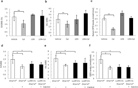 Showcasing the best of australian producers, growers and winemakers, chinese cuisine with traditional and modern techniques. Pharmacologic Calcitriol Inhibits Osteoclast Lineage Commitment Via The Bmp Smad1 And Ikb Nf Kb Pathways Li 2017 Journal Of Bone And Mineral Research Wiley Online Library
