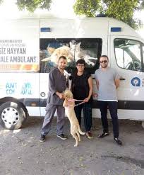 Antalya Da Ensesi Kesilen Kopegi Sahiplendi Bursada Bugun Bursa Bursa Haber Bursa Haberi Bursa Haberleri Bursa