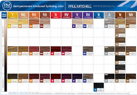 How about ion hair color chart? Paul Mitchell Pm Shines Demi Permanent Swatch Book Color Chart