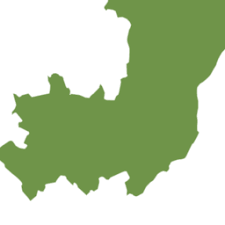 Image result for Acanthus mayaccanus