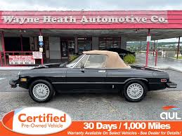 Image result for Gray 1981 Alfa-Romeo