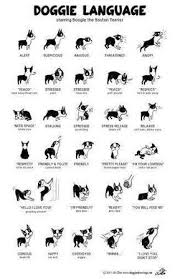 Dogs Body Language Poster Metal Sign Wall Art 8in X 12in Black And White Dogs Dog Language I Love Dogs