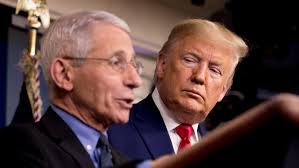 Make your own images with our meme generator or animated gif maker. Dr Anthony Fauci Is The Right Person To Manage Coronavirus Response