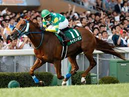年 月日 場名 着/頭数 レース名 騎手 天候馬場 タイム 差 上3f 調教師; Https Xn U9j9ira2751auitrv9ao66b Com E3 80 90 E3 82 A2 E3 82 A4 E3 83 93 E3 82 B9 E3 82 B5 E3 83 9e E3 83 Bc E3 83 80 E3 83 83 E3 82 B7 E3 83 A52020 E3 80 91 E4 Ba 88 E6 83 B3 E3 81 A8 E9 81 8e E5 8e Bb E3 83 87 E3 83 Bc E3 82 Bf