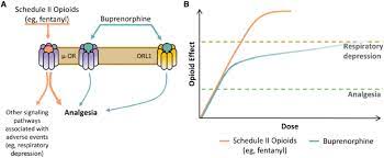 The food and drug administration (fda) approved buprenorphine for clinical use in 2002. Efficacy And Tolerability Of Buprenorphine Compared With Those Of Other Download Scientific Diagram