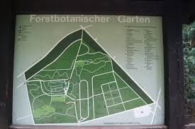 Eghn Forstbotanischer Garten Ein Bluhendes Paradies Im Suden Von Koln