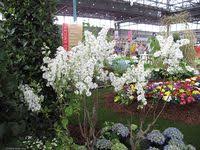 gesehen auf der messe haus garten freizeit in leipzig 14 ausstellungsflache leipzig messe