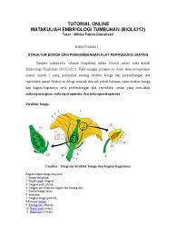 Bagian bunga add to my workbooks (0) download file pdf embed in my website or blog Gambar Struktur Bunga Radea