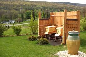 Beekeeping 101 Bee Keeping Backyard Beekeeping Backyard Farming