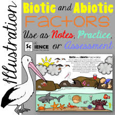 Ecosystem Biotic And Abiotic Factors Worksheet Biotic And Abiotic Factors Illustration For Using As Notes Or A Worksheet Abiotic Biotic Station Activities