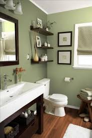 Green Bathroom Ideas Mint Green Bathroom Green Bathroom Ideas Green And Gray Bathroom Idea Small Bathroom Remodel Bathroom Makeovers On A Budget Bathroom Color