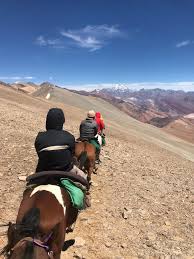 Bakeca incontri donna cerca uomo brescia