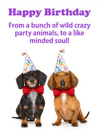 Party Animals Happy Birthday Card For Everyone Birthday Greeting Cards By Davia Happy Birthday Love Happy Birthday Wishes For Him Happy Birthday Wishes For A Friend