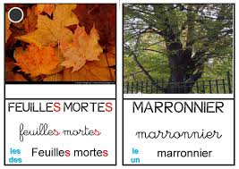 Epingle Sur Montessori