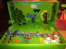 Daintree Rainforest Cape Tribulation Australia Second Grade Shoebox Project Rainforest Project Arts And Crafts For Kids Art For Kids