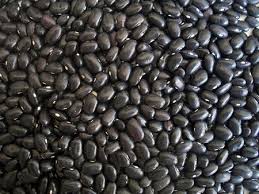 Kacang soya merupakan tanaman penting di amerika syarikat di mana ia merupakan sumber minyak dan makanan ternakan utama. 10 Makanan Berasaskan Tumbuhan Dengan Lebih Banyak Protein Dan Banyak Resipi Untuk Disertakan Dalam Diet Anda Protein 2021