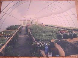We did not find results for: Countryside Greenhouse Home Facebook