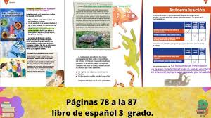 Paco el chato es una plataforma independiente que ofrece recursos de apoyo a los libros de texto de la sep y otras editoriales. Paginas 78 A La 87 Del Libro De Espanol 3 Grado Youtube