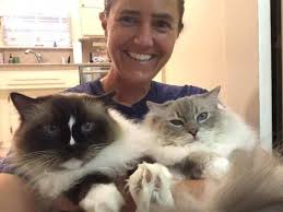 Chatty Cats: 10 Talkative Cat Breeds That Will Never Shut Up