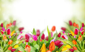 Your lots flowers stock images are ready. Flowers Lot Hd Wallpapers Free Download Wallpaperbetter
