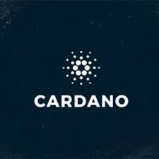 Cardano Discord Community Introductions Cardano Forum