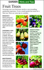 Fruit trees have been on my mind recently as i'm thinking we should all try to have at least one fruit tree in your yard. Majz7vp5w Bzzm