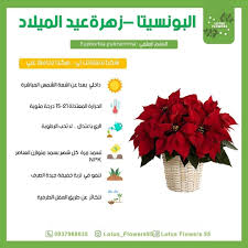 عالم النباتات والأزهار Facebook