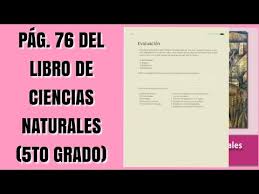 Start studying ciencias naturales 6° grado 4 bimestre. Pag 76 Del Libro De Ciencias Naturales Quinto Grado Youtube
