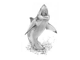 Black And White Shark Design Free Designs Shark Jump Tattoo Wallpaper Shark Tattoos Tribal Shark Tattoos Animal Tattoos