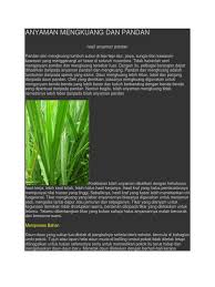 Daun pandan kerap digunakan sebagai pewarna makanan hijau alami. Anyaman Mengkuang N Pandan