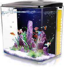 This includes bad care in fish stores, bad novelty bowls, someone else's bad betta care. Amazon Com Freesea 1 2 Gallon Aquarium Starter Kits Aquariums Square Betta Fish Tank With Led Light And Filter Pump Pet Supplies