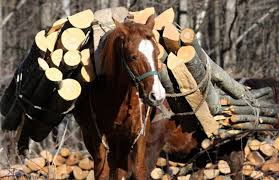 Great for starting fires or keeping those damp logs burning. Firewood Home Firewood Delivery Seattle And Surrounding Areas