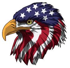 Pt rajawali corpora (rc) is an indonesian holding company based in jakarta, indonesia. Patriotic Bald Eagle Head Proud Bird Of Prey Art Print By Anziehend X Small Eagle Artwork Eagle Painting American Eagle Art