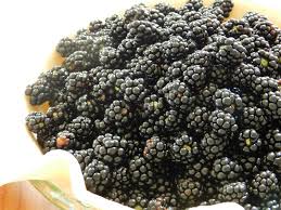 33.33% more food energy (kj) per 100g? Difference Between Blackberry And Mulberry