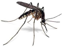 Защита от комаров и др.насекомых,Отпугиватели комаров ...