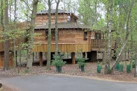 Many treehouses are booked for only a few days, for weekend and short trips. Travel Enjoy A Visit To Centre Parcs At Sherwood Forest Birmingham Live