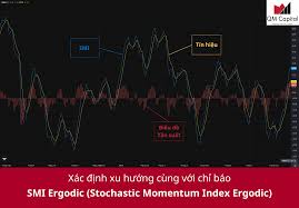 Chỉ báo SMI Ergodic là gì? Cách ứng dụng chỉ báo Ergodic SMI trong giao dịch