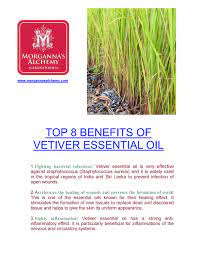 Vetiver essential oils are also renowned to be very helpful for the body and soul first due its health benefits, and also for improving one's psychological condition. Top 8 Benefits Of Vetiver Essential Oil By Morganna S Alchemy Issuu