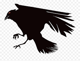Sebagaimana sketsa hewan pada umumnya, sketsa gambar burung adalah salah satu jenis sketsa yang paling digemari dan sering dibuat oleh para pecinta gambar. Crow Raven Bird Gambar Burung Gagak Animasi Emoji Raven Bird Emoji Free Transparent Emoji Emojipng Com