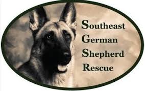To rescue german shepherd dogs. Southeast German Shepherd Rescue Reviews And Ratings Clayton Nc Donate Volunteer Review Greatnonprofits