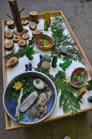 Rolly Polly Bugs Pill Bugs On This Day We Threw Some Leaves Into The Creek An Nature Table Small World Play Preschool