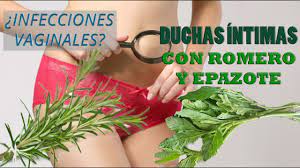 Las Duchas Vaginales Con Romero Y Epazote Para Infecciones Vaginales Youtube