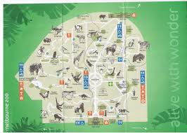 The fact that the virus has infected a tiger in a new york zoo shows how viruses can move around between. Cell Analogy By Jennifer Rodriguez