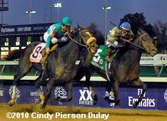 2010 Breeders Cup Classic Results