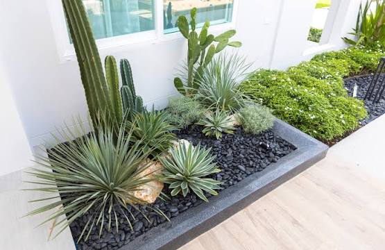 Rock garden